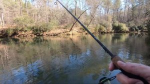 Creek Fishing Georgia Mountains for RAINBOW TROUT!!