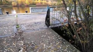 Пестовское водохранилище. Утро. Рыбалка.