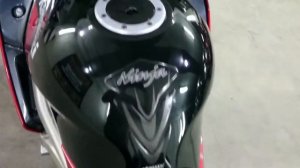 Kawasaki ZZR 600 #63506