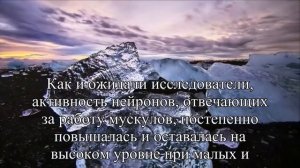 Ученые выяснили, почему мозг устает во время физических упражнений  — Статья