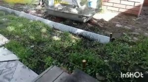 Бордюр своими руками из цемента. Бетонный бордюр своими руками.