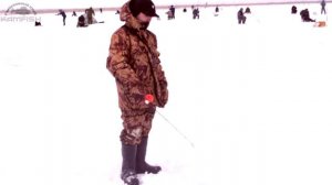 Балансир Lucky John Baltic. Часть 2. Kamfish