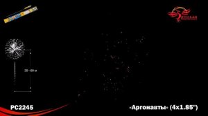 Аргонавты РС2245