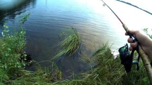 РЫБАЛКА НА ЯМАЛЕ. ИЩЕМ БЕШЕНЫЙ КЛЁВ ОКУНЯ. Огромная стая окуня. Щука на живца.