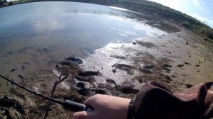 Ловля щуки на живца.