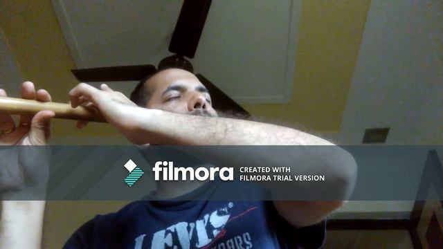 My heart will go on Flute cover | Titanic Flute cover | смотреть онлайн