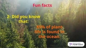 Fun facts about plants