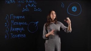 БИОЛОГИЯ 6 класс: Митоз