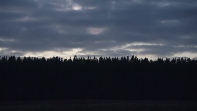 My little secret compact film "camera" смотреть онлайн