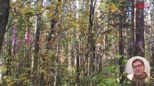 Поднимите свою самооценку: Ключи к Лучшей Версии Себя Михаил Лабковский