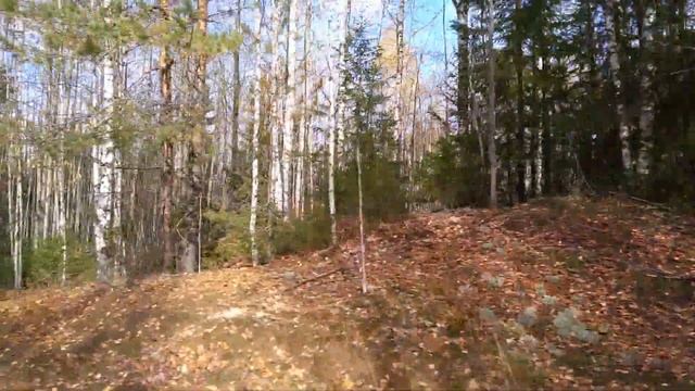 Поездка на мотоблоке по болоту (зимнику) с грузом 450 кг смотреть онлайн