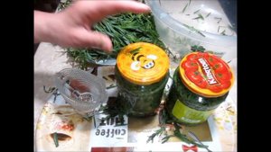 Заготовка тархуна на зиму. Harvesting tarragon for the winter. ზამთრისთვის ტარხუნის კონსერვაცია.