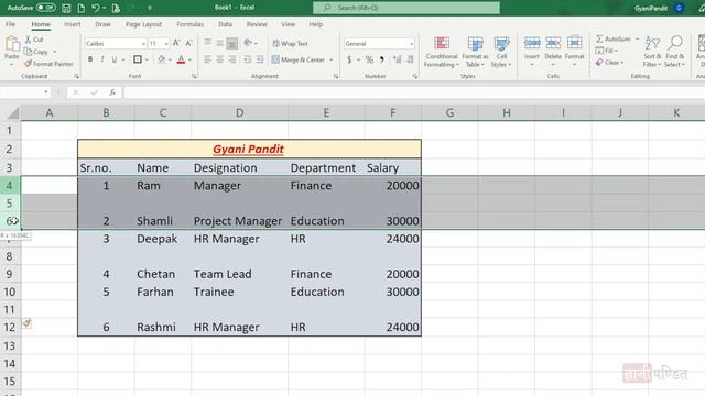 Insert and Delete row in Excel | Lecture 29 | Microsoft Excel Course