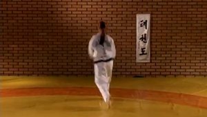 Учебное видео по тхэквондо для Желтого пояса. Часть 2. Движения из дан-гун и до-сан туль