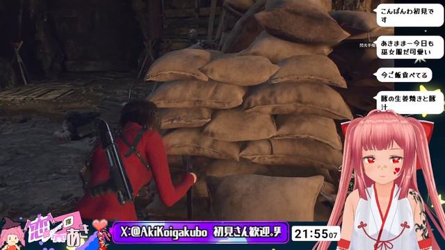 【Biohazard RE4 DLC #3 】美女、決着をつける【エイダ編】 смотреть онлайн