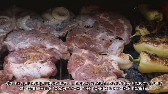 Мясо в кормах для кошек смотреть онлайн