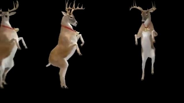 Deer dance system. Олень давида. Футаж северные олени. Deer dance. Танец оленей.