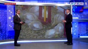 Итоги осенней сессии. Александр Двойных. Сказано в Сенате