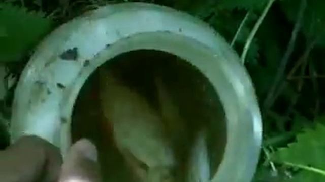 рыбалка смотреть онлайн