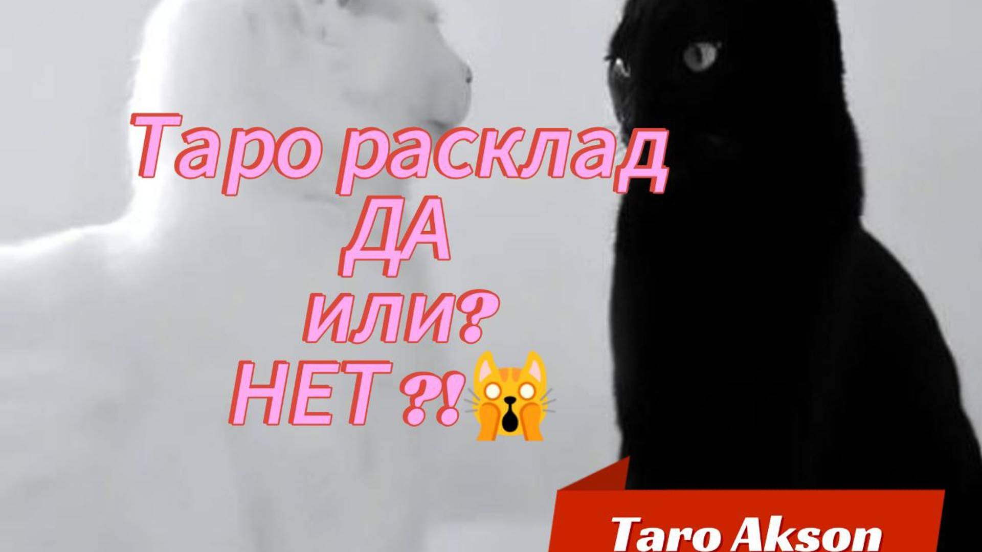 💖💯РАСКЛАД  ДЛЯ ВАС🙄💖  ВОПРОСЫ И ОТВЕТЫ #taro#таролог#Обучениетаро#тароаксон#данет#гаданиеданет