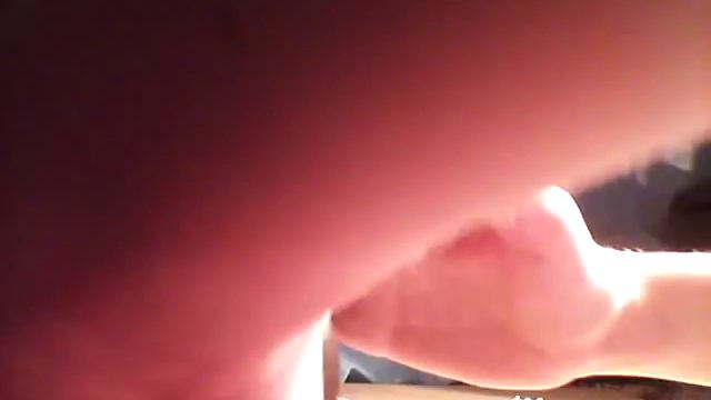 Мой любимый попугай коша смотреть онлайн