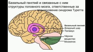 Синдром Туретта. Причины, симптомы, лечение.
