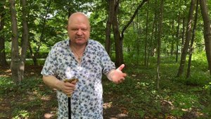 Видеолекции о птицах: Певчие дрозды