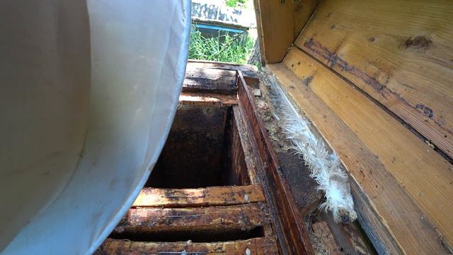 Пчеловодство для начинающих. Осмотр ульев. Наващивание рамок. смотреть онлайн