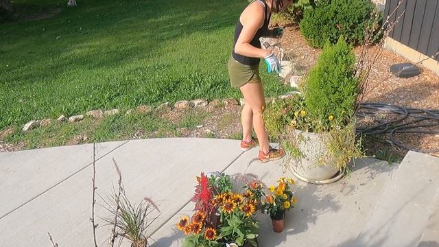 Updating Spring Planters for Fall! Loving the FALL Colors! смотреть онлайн