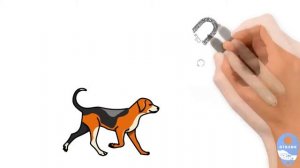 Что такое кликер?