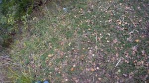 Моя рекордная рыбалка на щуку в Подмосковье!