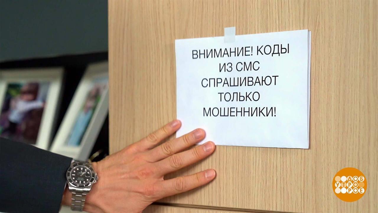 "Алло, это собес!" Нет, это мошенники... Доброе утро. Фрагмент выпуска от 09.09.2024