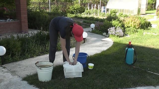 ? 4 способа использования томатной ботвы. Я сажаю. смотреть онлайн