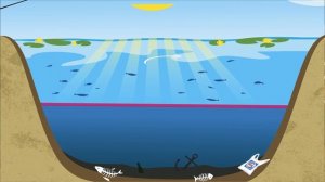 КАК? Ловля рыбы на фидер при термоклине.