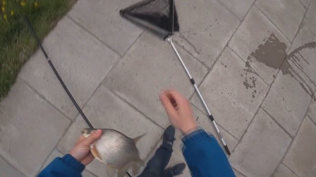 КАРП И ЛЕЩ НА ФИНСКОМ ЗАЛИВЕ! РЫБАЛКА В НЕРЕСТ НА ДУДЕРГОФСКОМ КАНАЛЕ ШЕРШАВЫЙ ЛЕЩ НА КРОКОДИЛА 202