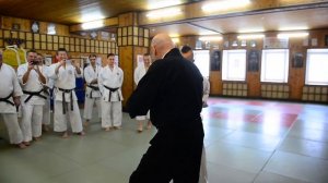 Тайдзюцу / Джиу-джитсу. Методический тренинг. Taijutsu keiko. Taijituishou.