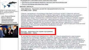 Кто писал Конституцию РФ