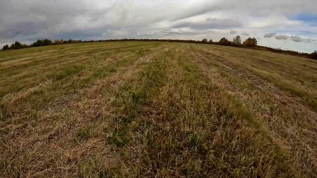 Как далеко стреляет традиционный лук? Насколько далеко летит стрела из традиционного лука. смотреть онлайн