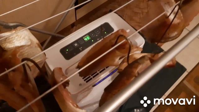 что мне делать с этой РЫБОЙ ?? / как мы СОЛИМ и ВЯЛИМ РЫБУ /ЧЕБУРЕКИ с мясом / смотреть онлайн