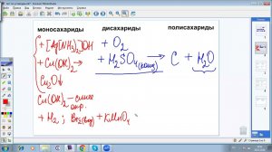 Углеводы. ЕГЭ химия