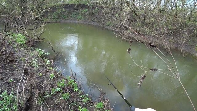 Майский голавль на Оке. Рыбалка в Орловской области. День 2 смотреть онлайн