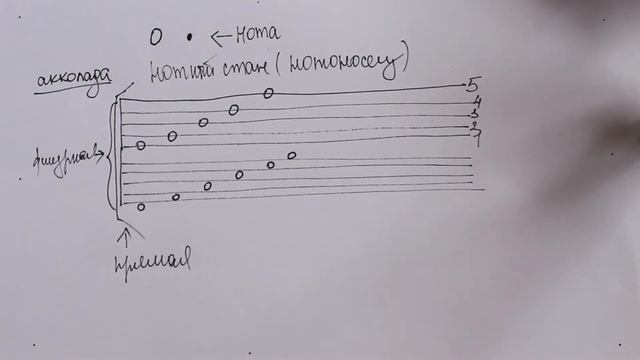 §2 Обозначение звука. Нотный стан. Начальная черта. Акколада. Добавочные линии. смотреть онлайн