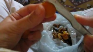 Как отделить косточки от алычи