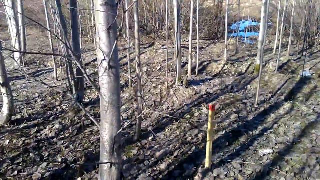 Посещение участка снег растаял. ч.1 смотреть онлайн