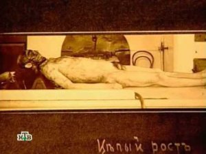 Преступление в стиле модерн   22  Живой труп