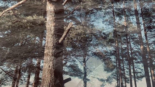 Играя Море - Сон смотреть онлайн