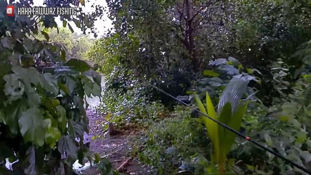 CASTING MUARA BINUANG SAAT AIR SURUT + GERIMIS,, IKANNYA JADI RAKUS #VLOG6 смотреть онлайн