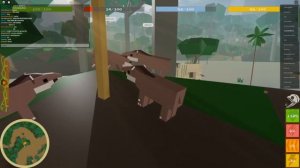 Tapir map circling (Roblox amazon ascension)