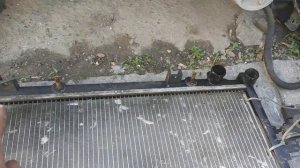 Датчик Каленвала Ровер 75