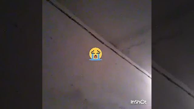 СК. Левокумский район  поселок Новокумский..потоп в Новокумской четырехэтажке